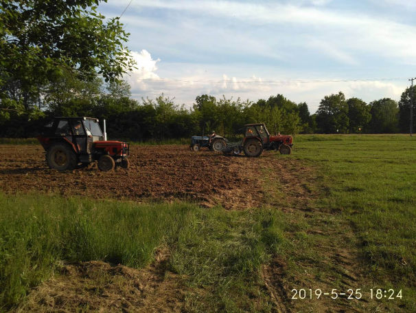 opg-boricka-marija-boric